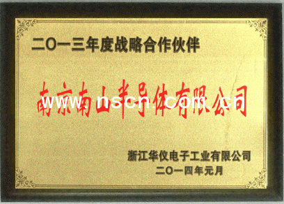 华仪电子战略合作伙伴铜牌-南京南山